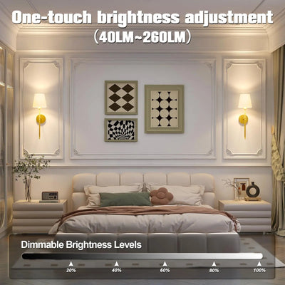 Wireless Wall Sconce with Remote (2 Pack)
